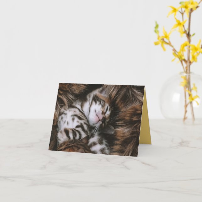 Kitten Kärlek Kort (Gul blomma)