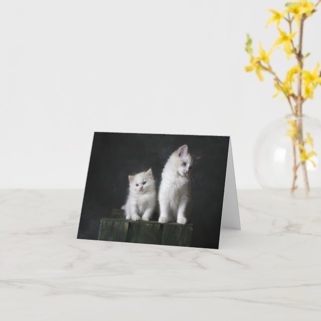 Kitten Kärlek Kort (Gul blomma)