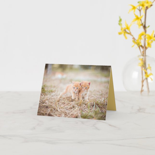 Kitten Kärlek Kort (Gul blomma)