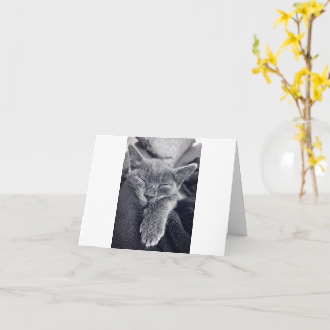 Kitten Kärlek Kort (Gul blomma)