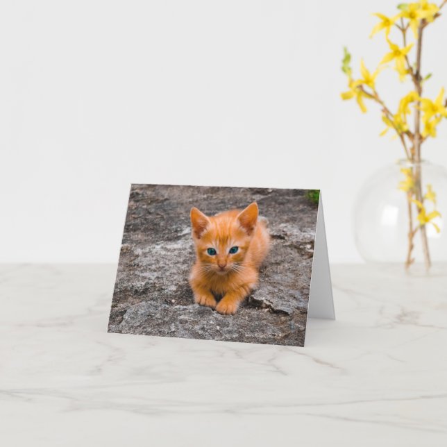 Kitten Kärlek Kort (Gul blomma)