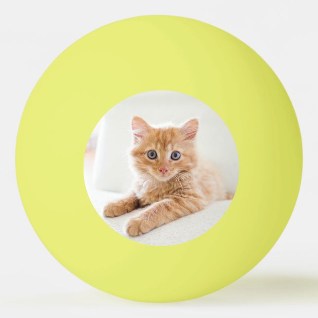 Kitten kärlek pingisboll (Framsidan)