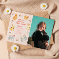 Kitten Katt Cat Birthday Photo