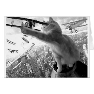 Kitten Kong Hälsningskort