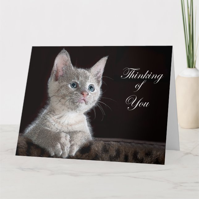 Kitten Kort (Framsida)