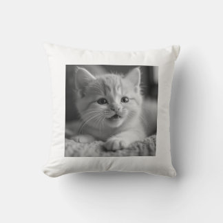 Kitten Kudde