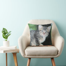 Kitten Kudde