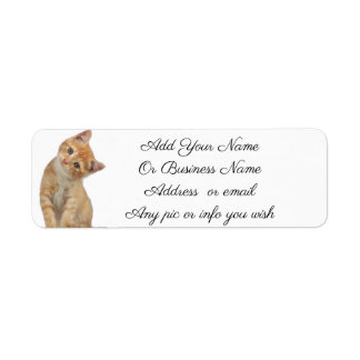 Kitten Labels Returadress Etikett
