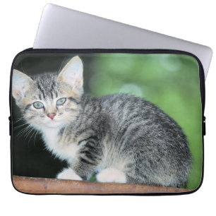 Kitten Laptop Fodral