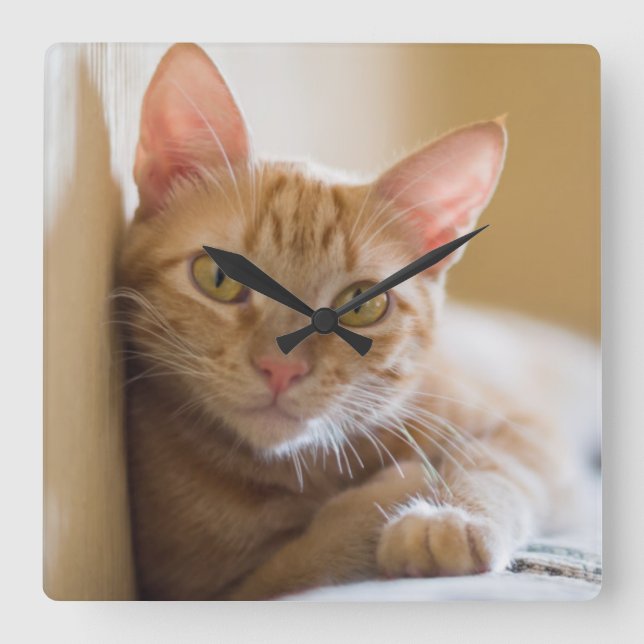 Kitten Ljugande på soffan Fyrkantig Klocka (Framsida)