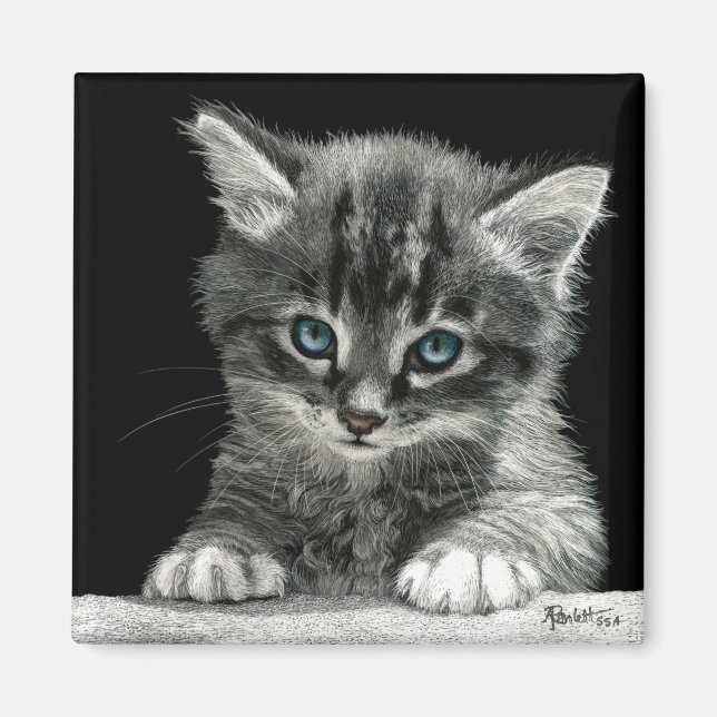 Kitten Magnet - "Bright Future" (Framsidan)