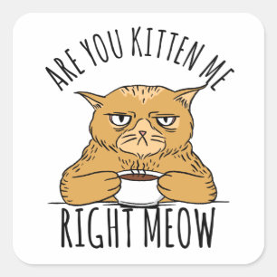 Kitten Me Höger Meow Pun Fyrkantigt Klistermärke