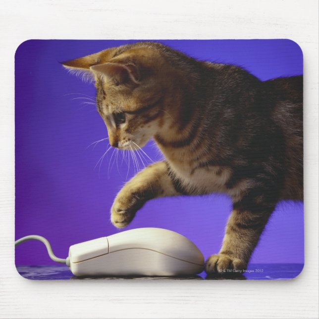 Kitten med datormus musmatta (Framsidan)
