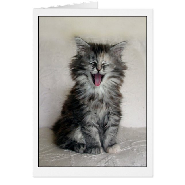 Kitten med ett underbart uttryck hälsningskort (Framsidan)