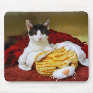 Kitten med Leksak Tiger Mousepad Musmatta