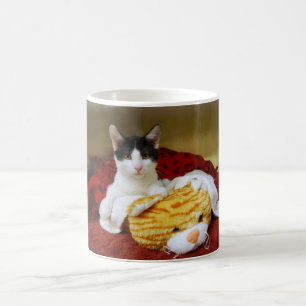 Kitten med Leksak Tiger Mugg