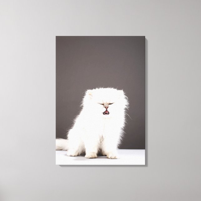 Kitten med Öga stängd Canvastryck (Framsida)