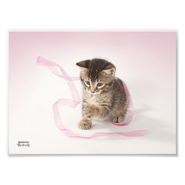 Kitten med Ribbon Fototryck (Framsidan)