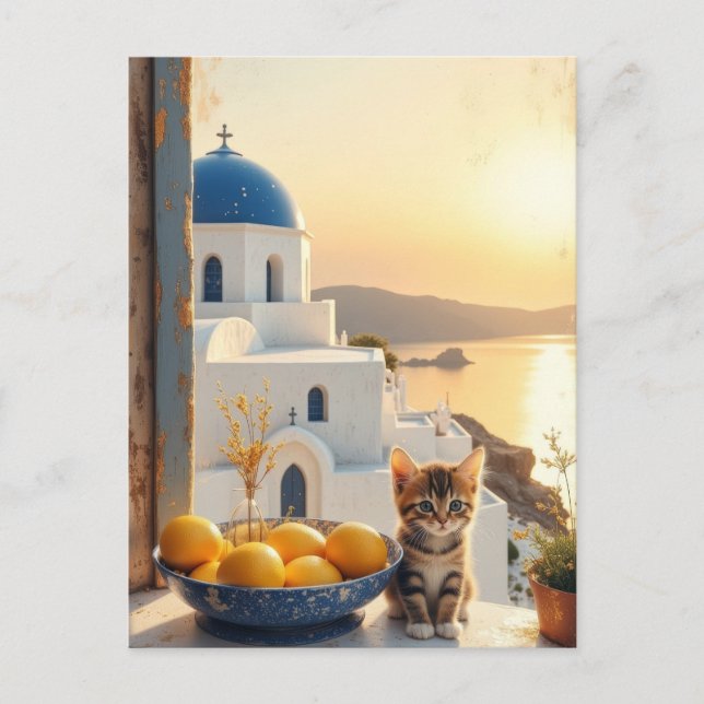 Kitten med tanke på solnedgången vykort (Framsida)