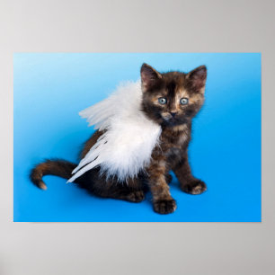 Kitten med Vingar Poster