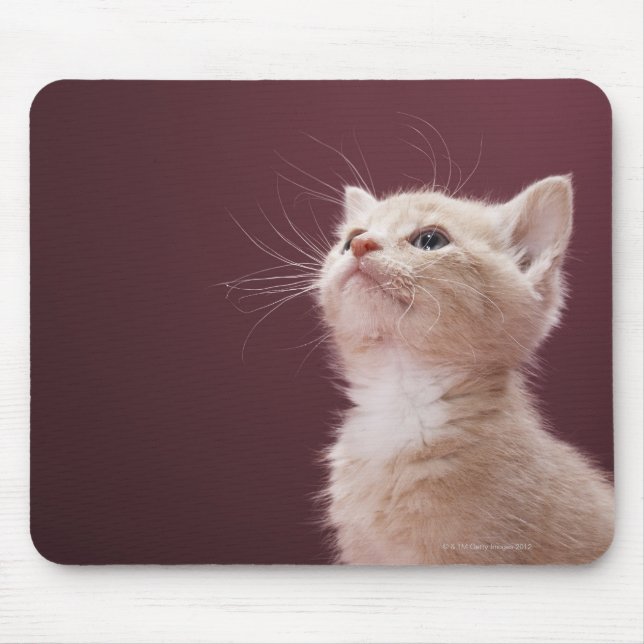 Kitten med Whiskers Musmatta (Framsidan)