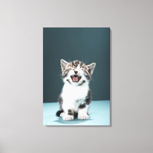 Kitten metig canvastryck