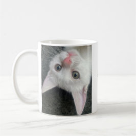 Kitten Mug, Funny Mug Kaffemugg
