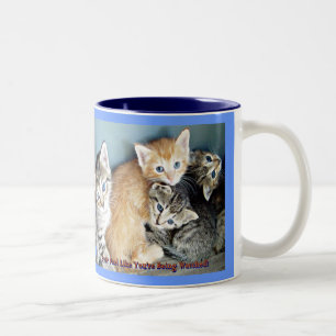 Kitten Mugg