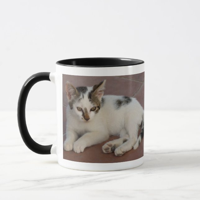 Kitten Mugg (Vänster)