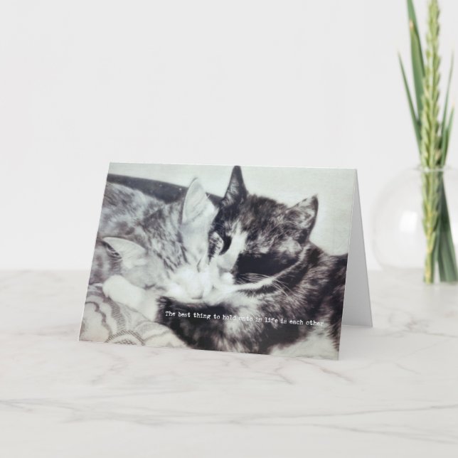 KITTEN NAP-gratulationskort Tack Kort (Framsida)