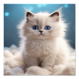 Kitten Nursery & Children's Room Prints Fototryck