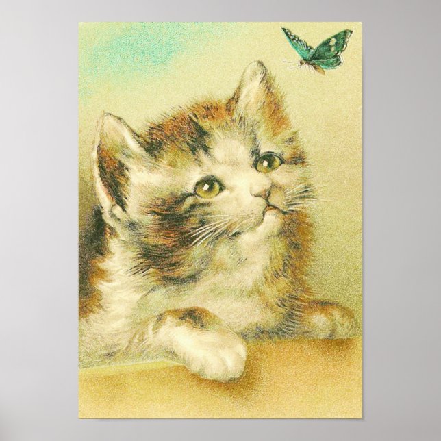 Kitten och Butterfly-Vintagen Poster (Framsidan)