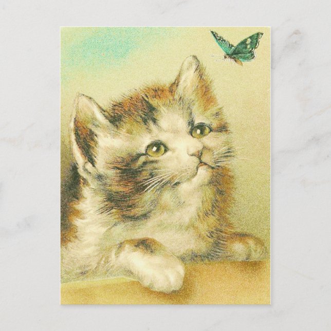 Kitten och Butterfly-Vintagen Vykort (Framsida)
