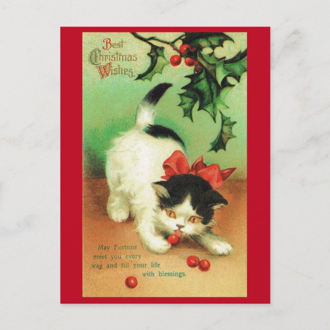 Kitten och jul Holly Vykort (Framsida)