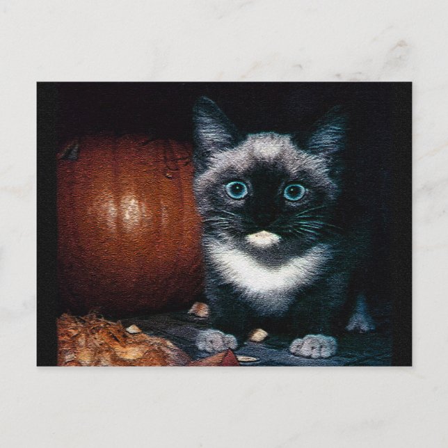 Kitten och Pumpkin för Halloween Vykort (Framsida)