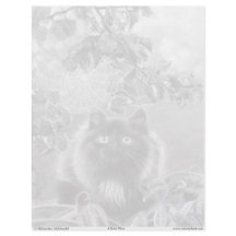 Kitten och Spindelnätet Färgsida för gråskala