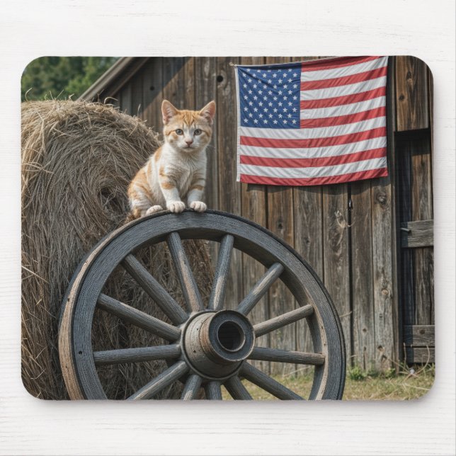 Kitten On an Old Wagon Wheel  Musmatta (Framsidan)