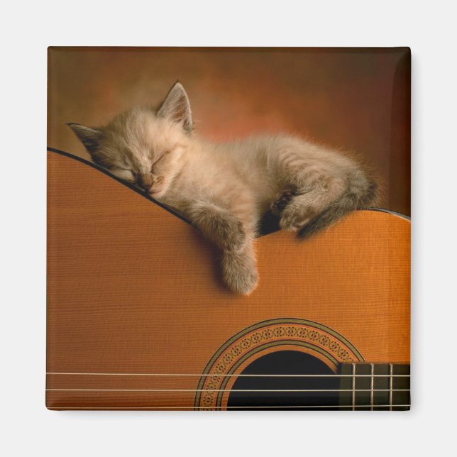 kitten-on-guitar magnet (Framsidan)