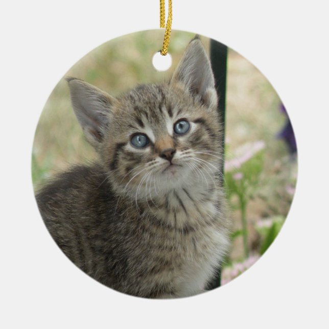 Kitten Ornament (Framsidan)