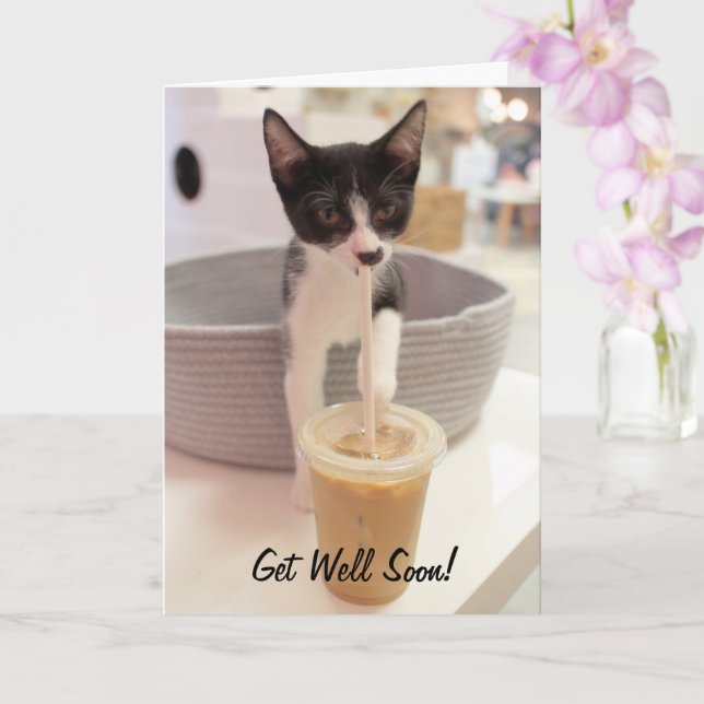 Kitten på kaffe kort (Orkide)