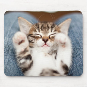 Kitten på min lucka musmatta