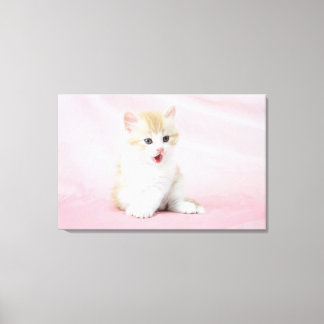 Kitten på Rosa Background Canvastryck