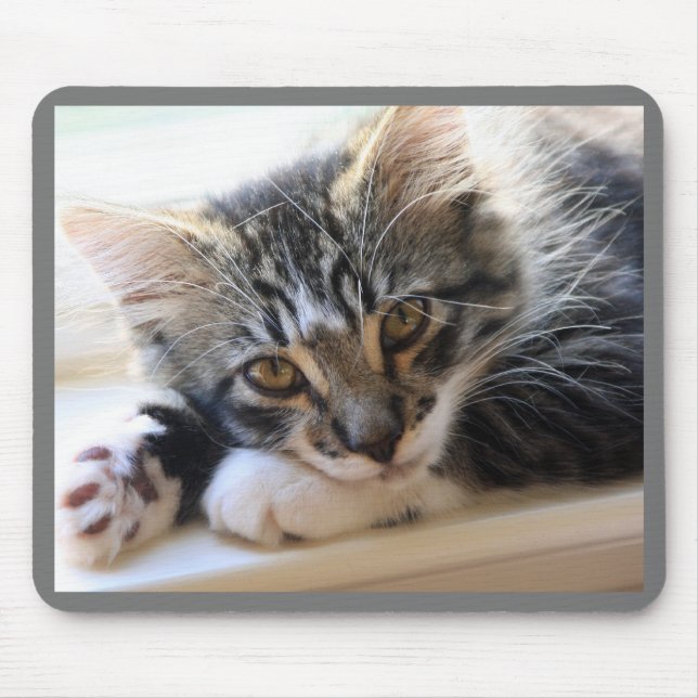 Kitten på Windows sill Mouse Pad Musmatta (Framsidan)