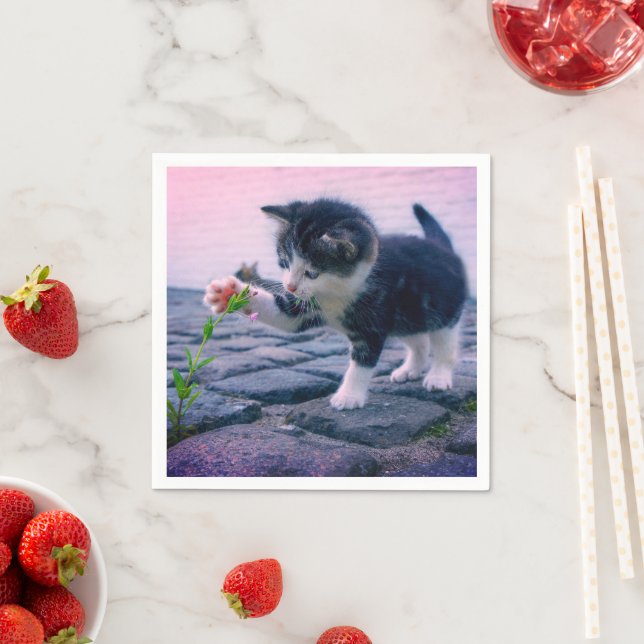 Kitten Pappersservett (Insitu)
