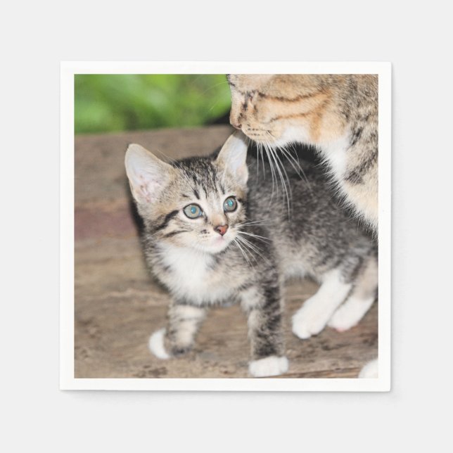 Kitten Pappersservett (Framsidan)