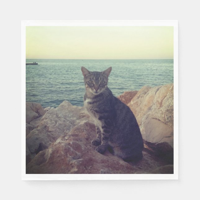 Kitten Pappersservett (Framsidan)