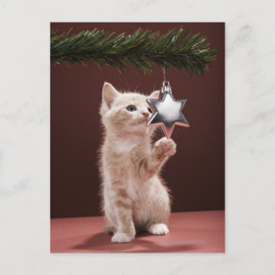 Kitten pawing-julets dekoration på träd helg vykort