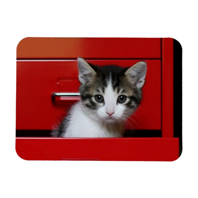 Kitten Peeking Magnet (Horisontell)
