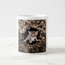 Kitten Peeking through Wall Mugg