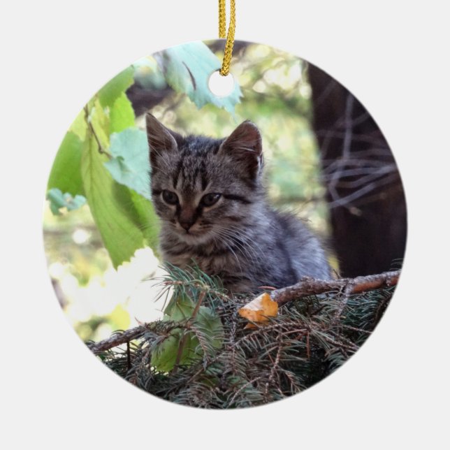 Kitten Photo Baby Cat Circle Ornament (Framsidan)